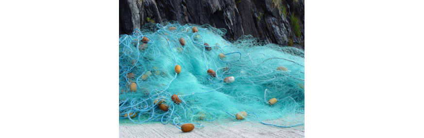 Gill Nets